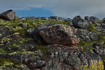 Rocky tundra of the Kola Peninsula, Murmansk region of Russia.