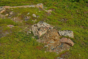 Rocky tundra of the Kola Peninsula, Murmansk region of Russia.