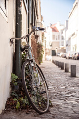 Fototapeta na wymiar vélo parisien