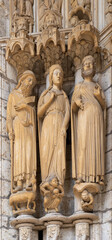 Fototapeta na wymiar cathédrale de chartres