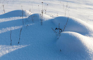 snow cover the grass and dry plants