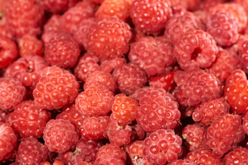 raspberry