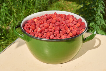 raspberry