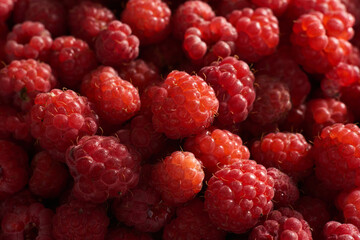 raspberry