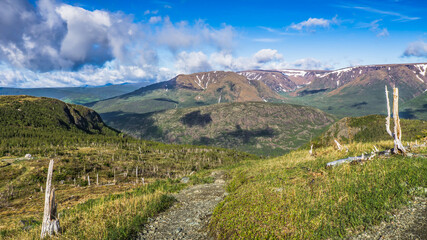 Naklejka premium Hiking trail leading to the top of Mont Ernest Laforce in Gaspesie National Park in Quebec (Canada)