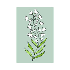 Lily of the valley flower. Vector illustration with cute white flower for your logo or t-shirt printable design