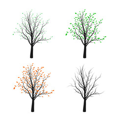 Four tree silhouette illustrated four season of nature. Vector