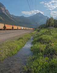 Freight train and power line in Yoho National Park near the town of Field, British Columbia