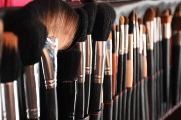Kit with professional makeup brushes