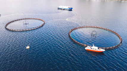 Salmon fish farming in Norway sea. Food industry, traditional craft production, environmental conservation. Aerial view of round mesh for growing and catching fish in arctic water surrounded by fjords © BullRun