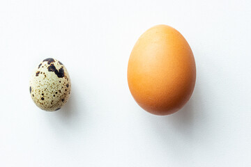 Chicken egg and quail's egg isolated on white background; size comparing; different kinds of eggs 