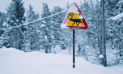 Bright traffic sign with deer in snowy forest