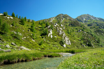 Fototapeta na wymiar Alpine plateau in südtiroler Ahrntal with green plain, mountain stream, glacier and clear blue sky in summer