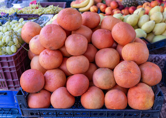 Lots of ripe grapefruit. Farmers' market - trade in citrus fruits.