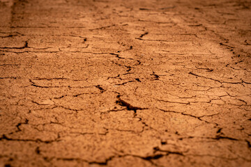 Fototapeta premium Dry, cracked clay soil in the summer heat with selective focus