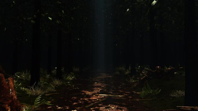 Deep In The Rainforest is motion footage for documentary films and cinematic in environment scene. Also good background for scene and titles, logos.