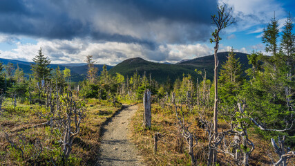 Hiking trail leading to the top of Mont Ernest Laforce in Gaspesie National Park in Quebec (Canada)