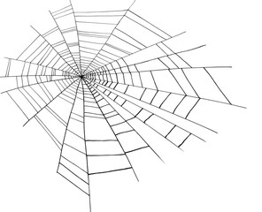 line drawing of spider web