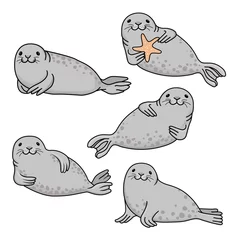 Foto op Plexiglas Set of gray fur seals. Vector hand drawn cute cartoon fur seal  isolated on white background. Ocean animal illustration. © LadaYatsenko