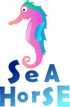 Image of colorful seahorse with text