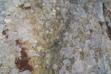 Close up of the gritty surface of lichen covered gritstone rock