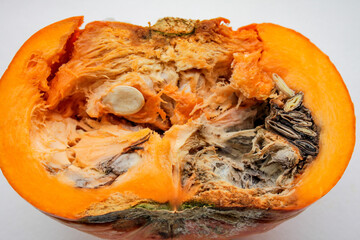 Close-up of a rotten pumpkin cut in half on a white background