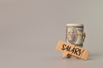 Money banknote and label tag written with SALARY