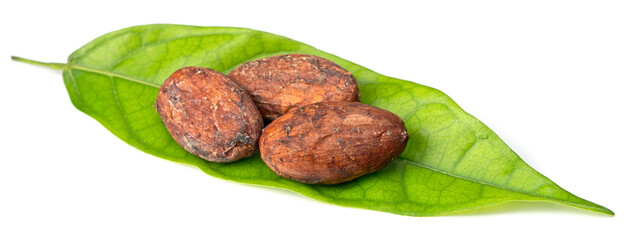 dried cocoa beans on the fresh cocoa leaf, isolated on white background, top view
