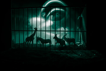 A group of animals are grouped together on a black background with glowing white rays. Animals range from an elephant, zebra, bear and rhino. Use it for a zoo or friends concept.