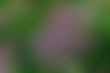 Abstract colored background. Blurry paints