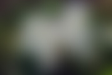 Abstract colored background. Blurry paints