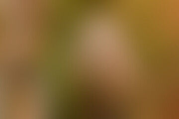 Abstract colored background. Blurry paints