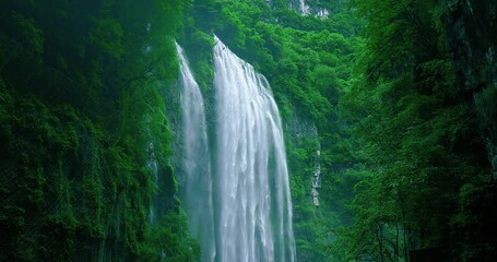 waterfall in a green forest - Powered by Adobe