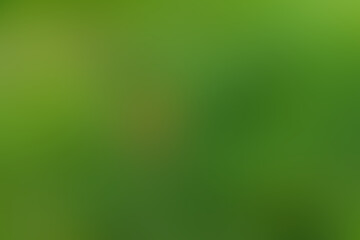 Abstract colored background. Blurry paints