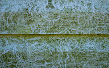 Ugly green mold and mildew on siding boards makes an interesting abstract, background or texture...