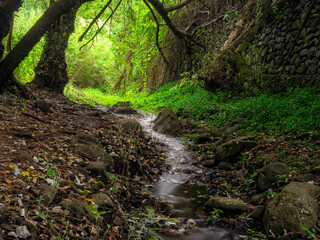 Obraz premium waterfall in the forest