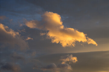 Naklejka na ściany i meble orange golden cloud and warm gray sky at sunset abstract background
