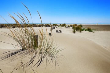 Littoral du sud de la France avec ses dunes, ganivelles pour les protéger et son sable fin à perte de vue