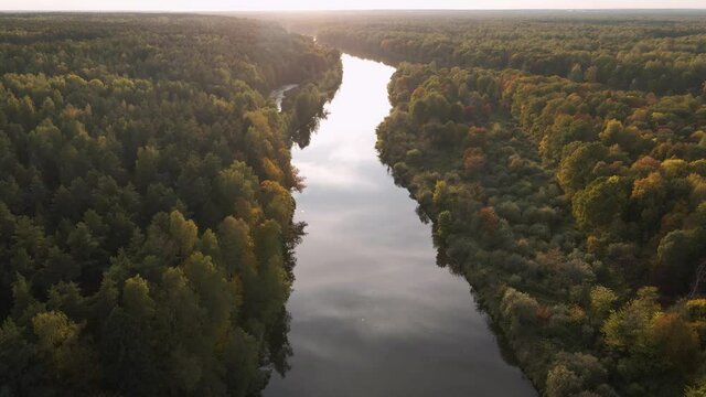 Slow flight over woodland and river at sunset. The river surface reflects the blue sky and white clouds. Beautiful natural landscape in autumn in the orange rays of the evening sun.