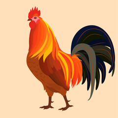 Proud Red Rooster