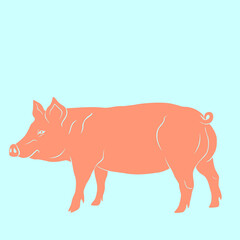 Eastern Zodiac Sign Pig