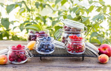 Assorted different summer berries in glass jars on garden background. Agriculture, Gardening, Harvest Concept