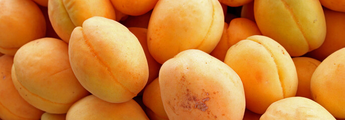 Fototapeta na wymiar close-up organic ripe apricots background