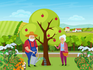 Elderly couple people work in farm garden vector illustration. Cartoon senior man character in hat working, holding watering can to water apple tree, woman standing with basket of fruits background