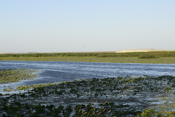 sunset on the lake, summer