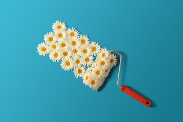 Creative composition of camomiles and paint roller on blue background.
