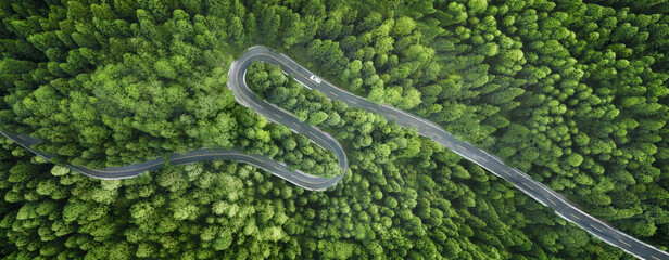 Aerial view of a road in the middle of the forest - obrazy, fototapety, plakaty