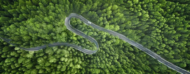 Tuinposter Aerial view of a road in the middle of the forest © Li Ding