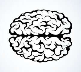 Brain. Vector drawing icon sign