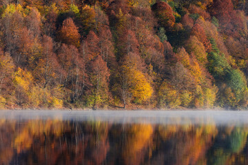 Beautiful autumn forest reflecting in foggy lake